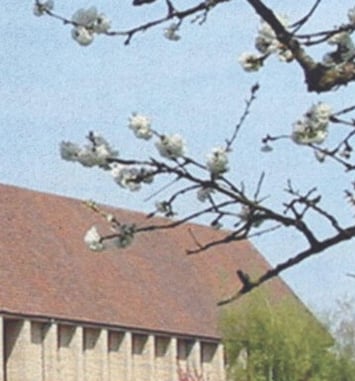 Chant grégorien