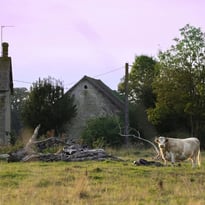 Exposition : patrimoine rural du Perche