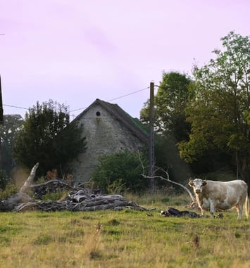 Exposition : patrimoine rural du Perche