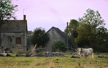 Exposition : patrimoine rural du Perche