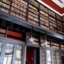Visite libre du musée municipal