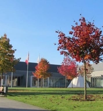 Visite libre des Muséales