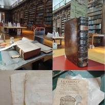 Démonstration d'entretien de livres anciens