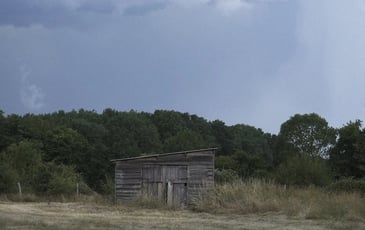 Exposition : vidéo installation d'Eugénie Touzé