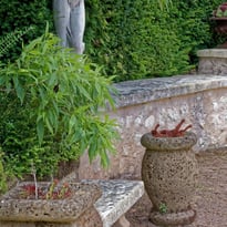 Visite libre d'un jardin patrimoine végétal