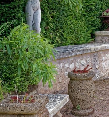 Visite libre d'un jardin patrimoine végétal