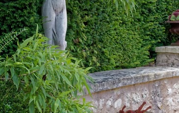Visite libre d'un jardin patrimoine végétal
