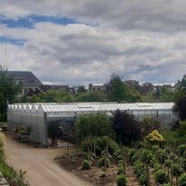 Visite guidée des serres