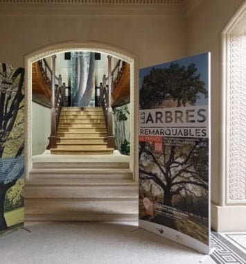 Exposition : A.R.B.R.E.S.