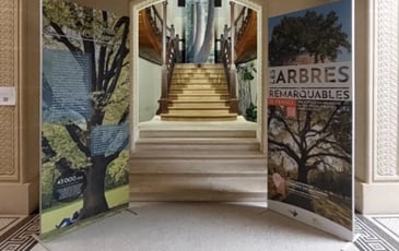 Exposition : A.R.B.R.E.S.
