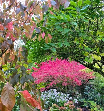 Visite libre du jardin