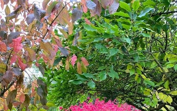 Visite libre du jardin