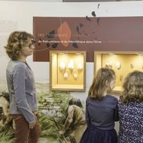 Visite libre du musée