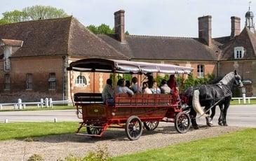 Visite guidée : promenade en attelage