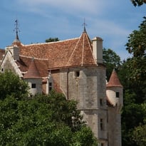 Visite guidée de la charpente du manoir