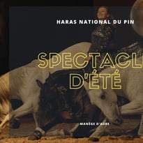 Spectacle équestre de l'été