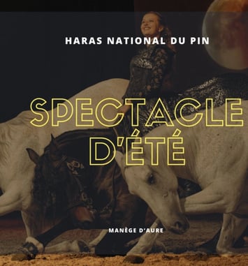 Spectacle équestre de l'été