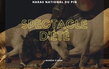Spectacle équestre de l'été