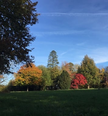 Visite libre du parc du chateau de Pouvrai