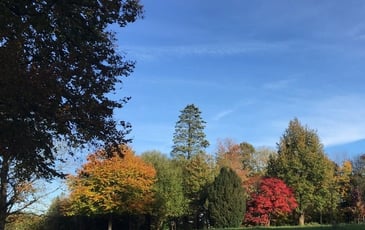 Visite libre du parc du chateau de Pouvrai
