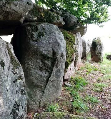 Visite guidée de La Table au diable